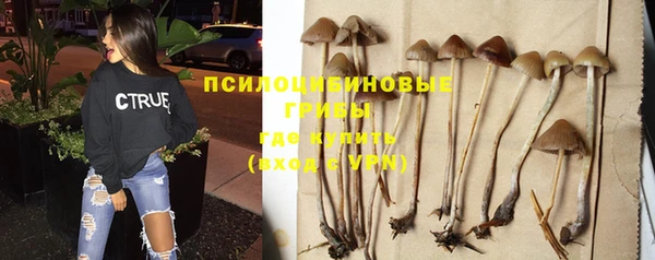 молекула духа Абдулино