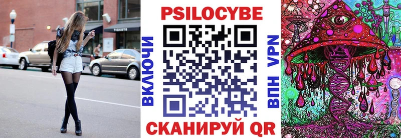Галлюциногенные грибы Psilocybe Сычёвка